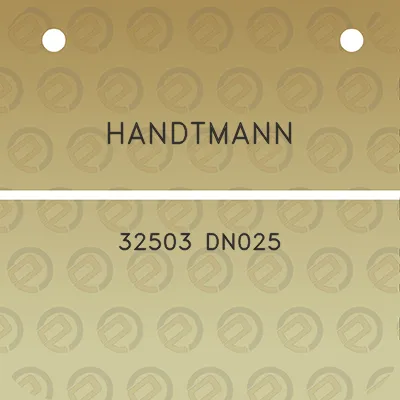 handtmann-32503-dn025