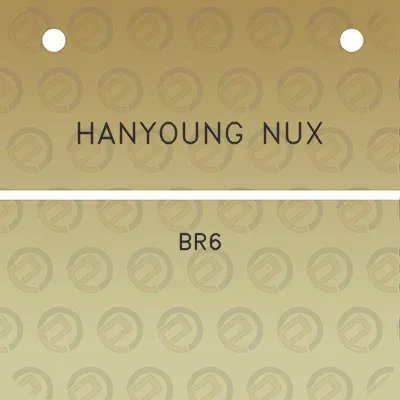 hanyoung-nux-br6