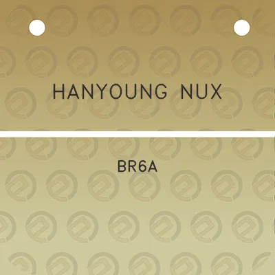 hanyoung-nux-br6a