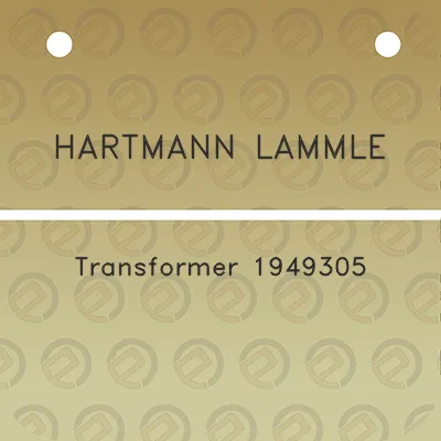 hartmann-lammle-transformer-1949305