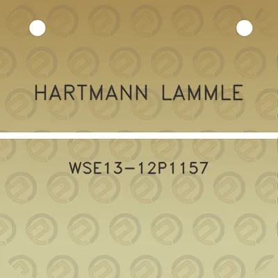 hartmann-lammle-wse13-12p1157