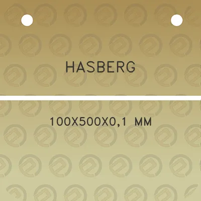 hasberg-100x500x01-mm