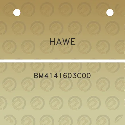 hawe-bm4141603c00