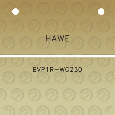 hawe-bvp1r-wg230