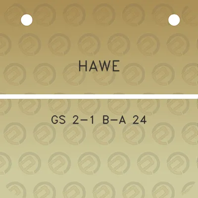 hawe-gs-2-1-b-a-24