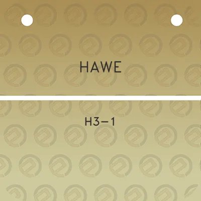 hawe-h3-1