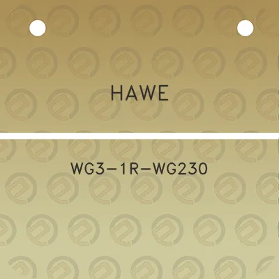 hawe-wg3-1r-wg230