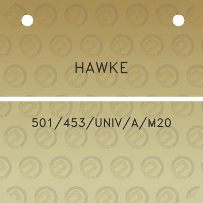 hawke-501453univam20