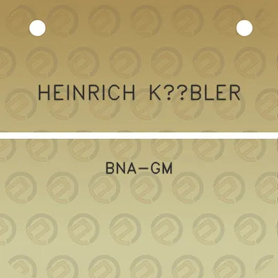 heinrich-kubler-bna-gm