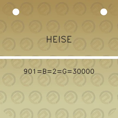 heise-901b2g30000