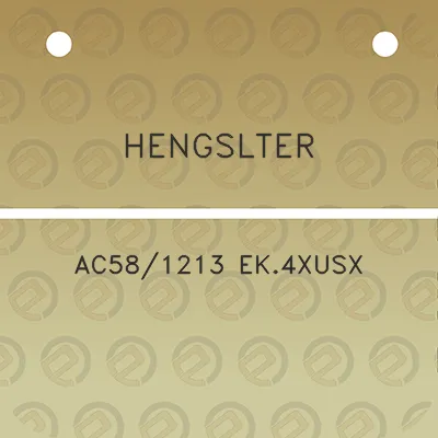 hengslter-ac581213-ek4xusx