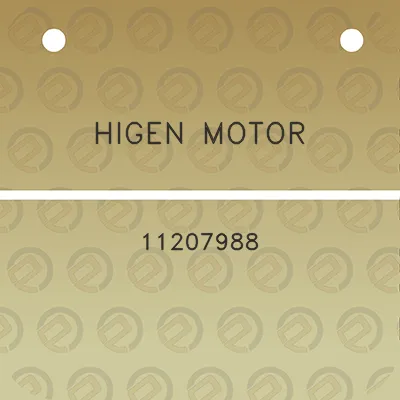 higen-motor-11207988