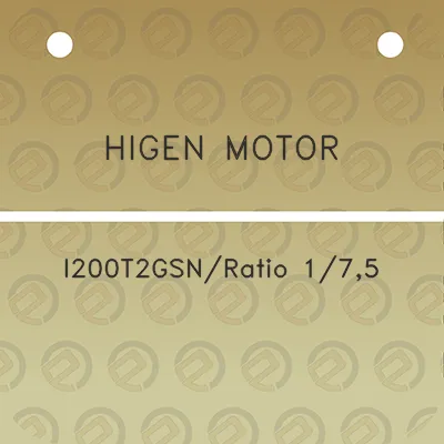 higen-motor-i200t2gsnratio-175