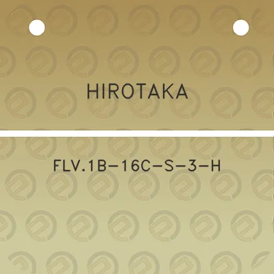 hirotaka-flv1b-16c-s-3-h