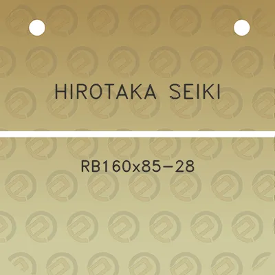 hirotaka-seiki-rb160x85-28