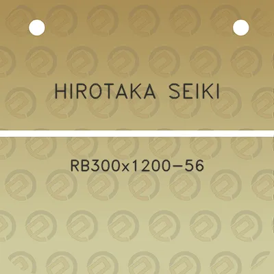 hirotaka-seiki-rb300x1200-56