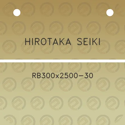 hirotaka-seiki-rb300x2500-30