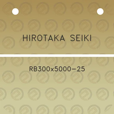 hirotaka-seiki-rb300x5000-25