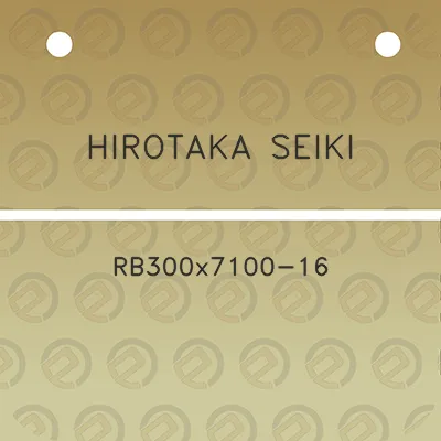 hirotaka-seiki-rb300x7100-16