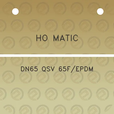 ho-matic-dn65-qsv-65fepdm