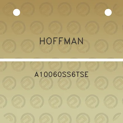 hoffman-a10060ss6tse