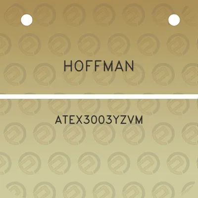 hoffman-atex3003yzvm