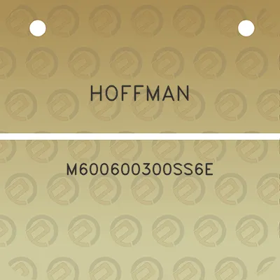 hoffman-m600600300ss6e