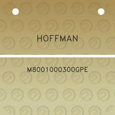 hoffman-m8001000300gpe