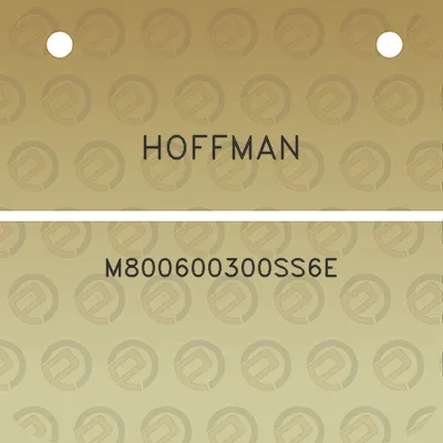 hoffman-m800600300ss6e