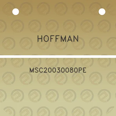 hoffman-msc20030080pe