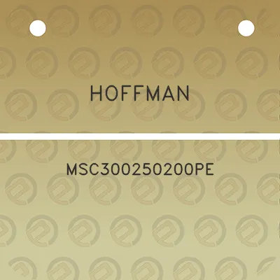 hoffman-msc300250200pe