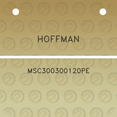 hoffman-msc300300120pe