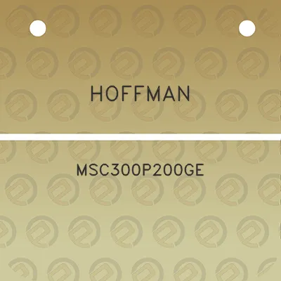 hoffman-msc300p200ge