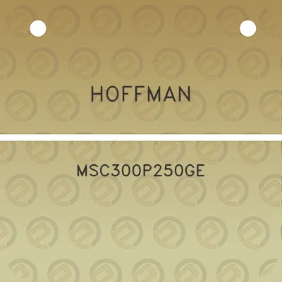 hoffman-msc300p250ge