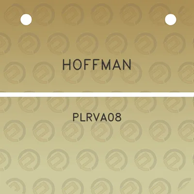 hoffman-plrva08