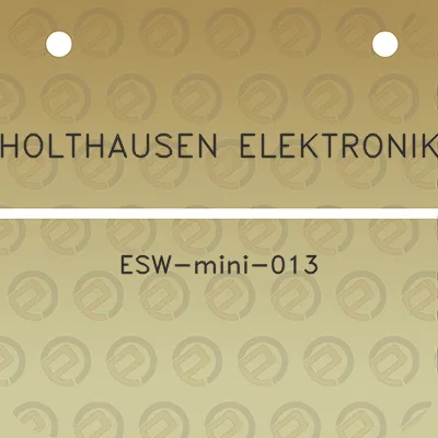 holthausen-elektronik-esw-mini-013