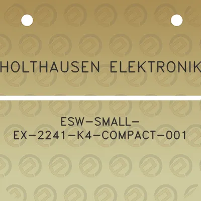 holthausen-elektronik-esw-small-ex-2241-k4-compact-001