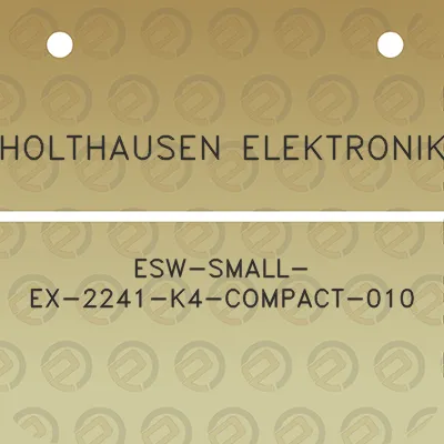 holthausen-elektronik-esw-small-ex-2241-k4-compact-010