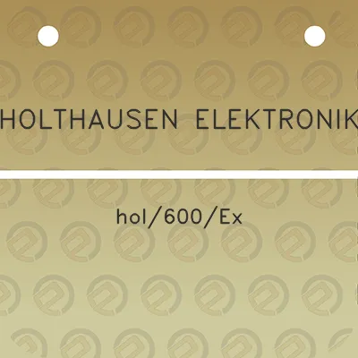 holthausen-elektronik-hol600ex