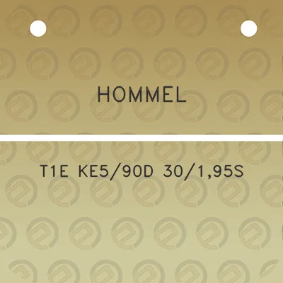 hommel-t1e-ke590d-30195s