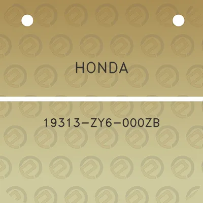 honda-19313-zy6-000zb