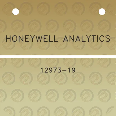 honeywell-analytics-12973-19