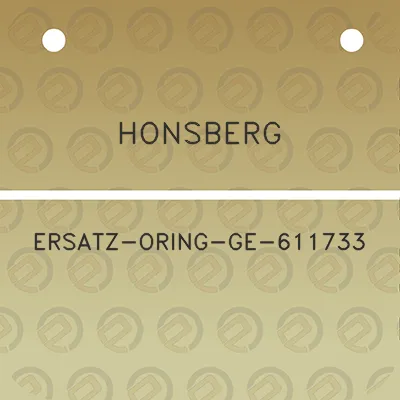 honsberg-ersatz-oring-ge-611733