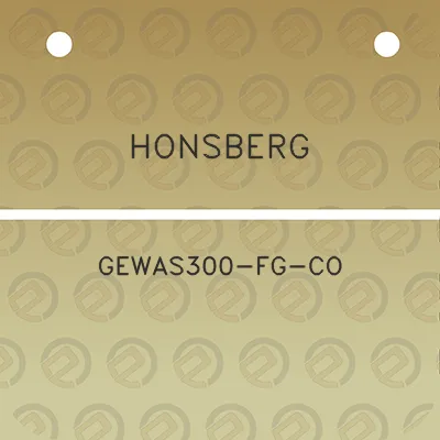 honsberg-gewas300-fg-co