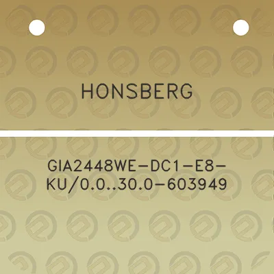 honsberg-gia2448we-dc1-e8-ku00300-603949