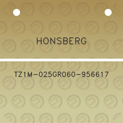 honsberg-tz1m-025gr060-956617