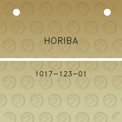 horiba-1017-123-01