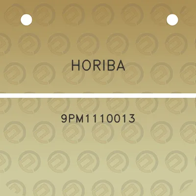 horiba-9pm1110013