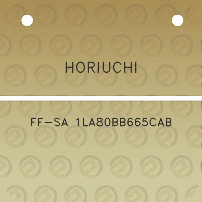 horiuchi-ff-sa-1la80bb665cab