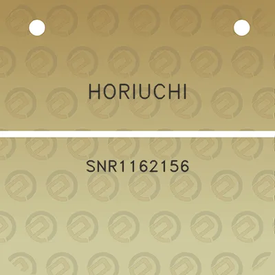 horiuchi-snr1162156